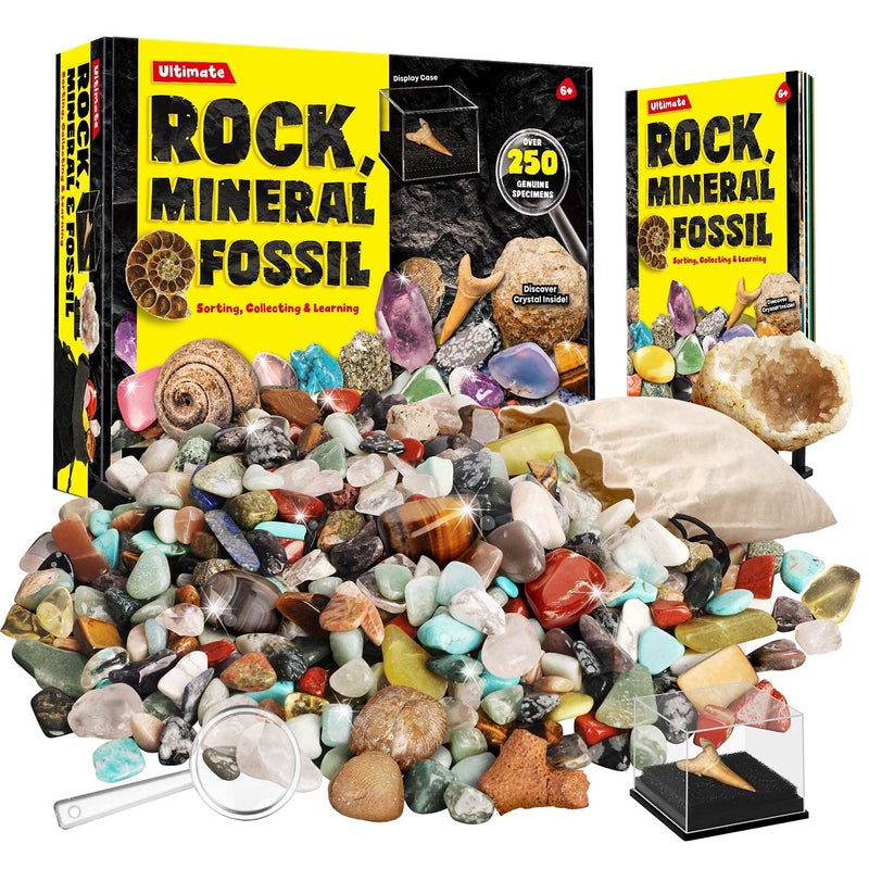 XX Rocks Minerals & Fossils Collection for Kids 250+ Real Gemstones and Crystals Rock Identification Kit Includes Display Case, Genuine Fossils, Geodes Great Geology, Science Gift for Boys & Girls - Image 1